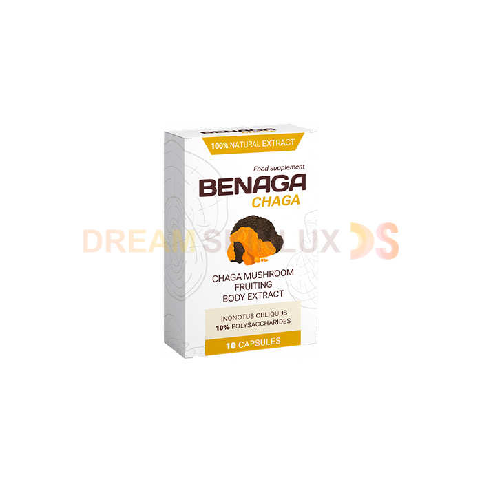 Benaga Chaga